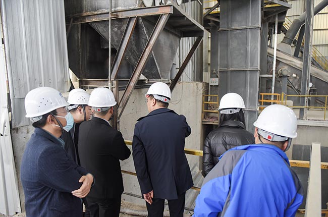 考察衛輝市藍天環保材料有限公司