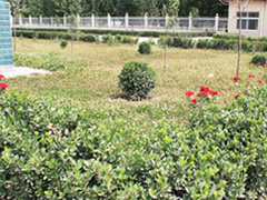 VɽS(chng)^(q)(chng)