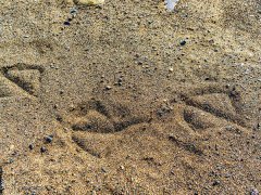 河砂如何形成的?與機制砂機有什么區(qū)別? 河砂如何形成的?與機制砂機有什么區(qū)別?