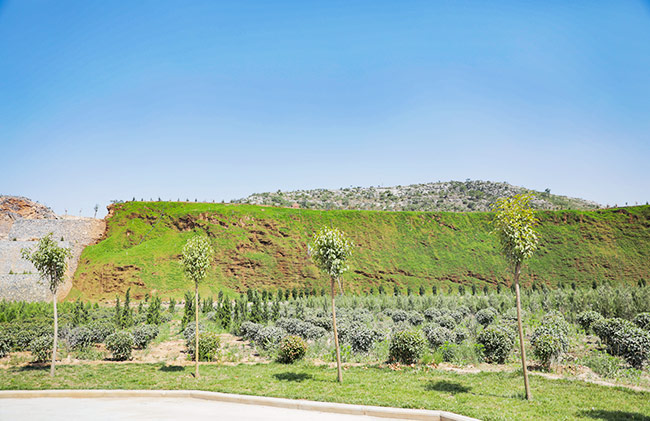 湖北省赤壁市導考察礦山生態(tài)修復及環(huán)境治理情況